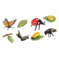 thumbnail image 3 of Juguetes de aprendizaje Strade Fareast Limited ciclo de vida de los animales Estilo A, 3 of 5
