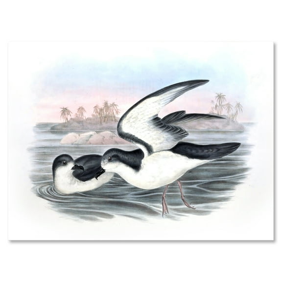 Designart ' Ancient Australian Birds X ' Traditional Canvas Wall Art Print