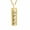 Gold, variant on Cremation Jewelry Urn Necklace for Ashes, Pet Paw Print Memorial Pendant for Dog Cat Ashes Keepsake Locket for Men for Women(Black)