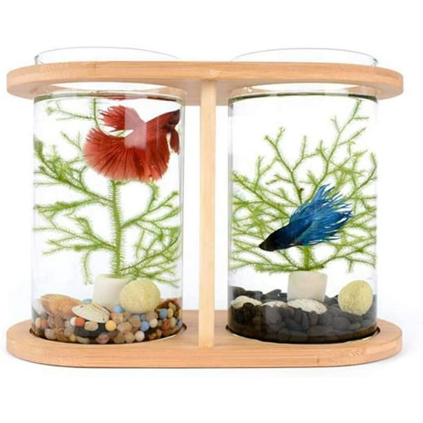 Clear Fish Bowl Aquarium Decorative Fish Pot Stones Tree Ornament Desktop  Table 16cmx18cm
