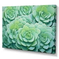 thumbnail image 2 of Designart "Greenery Of Blooming Succulents" Succulent Canvas Wall Art, 2 of 7