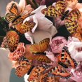 thumbnail image 2 of Conjunto de 12 Adornos de Mariposas 3D con Plumas Berfutall de 9 cm, 2 of 6