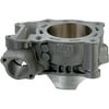 Moose Racing 0931-0514 Engine Cylinder