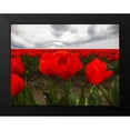thumbnail image 2 of Grayscale 14x12 Black Modern Framed Museum Art Print Titled - Red Tulip Field, 2 of 5