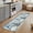 Sky Blue, variant on Small Door Mat Indoor Outdoor 15.7"x23.6",Red Floral Absorbent Non Slip Entry Rug,Country Farmhouse Abstract Flowers Pattern Low Profile Welcome Mat for Front/Side Door Apartment Entrance Bathroom