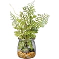 thumbnail image 1 of Jar - Sm Maidenhair Fern, 1 of 1