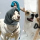 thumbnail image 5 of Cinturón ajustable para perros Unique Bargains con cintas mágicas, capucha calmante para perros para la ansiedad, mantiene caliente, color gris, 5 of 7