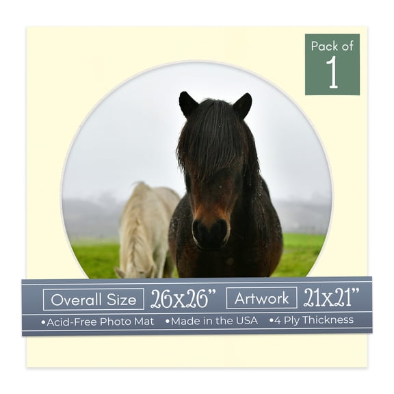Off White Picture Frame Mat for 26x26 Frames - Circle Opening for 21x21 Photos - 1 Mat