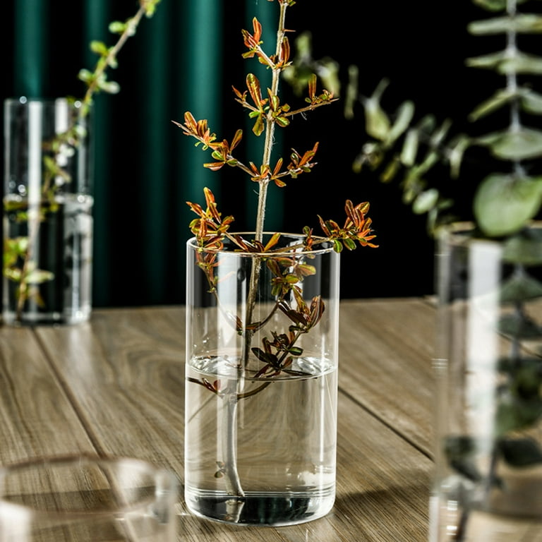 6.1 in. Clear Glass Round Decorative Vase YA163