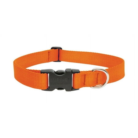 UPC: 0746889525523 | LupinePet Basic Solids Blaze Orange Blaze Orange Nylon Dog Adjustable Collar
