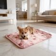 thumbnail image 4 of Summer Cooling Pet Mat 20x16 in, Breathable Ice Silk Dog Cat Pad for Crate Sofa Floor, Portable Washable Pet Bed Cushion for Hot Weather Indoor Outdoor Use, 4 of 6