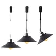 thumbnail image 1 of FSLiving Lampe Suspendue de Rail à Hauteur Réglable, Type J, Industrielle, Projecteur de Rail Rétractable avec Tige Télescopique, Lampe à Monture Cardan, Juno Track, Instantanée sur Abat-Jour Noir Mat, 3 Lumières, 1 of 7