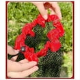 thumbnail image 4 of Bolsa de Red de Pesca Plegable, Red de Pesca Engrosada, PequeñA en la Boca, Fondo Plano, Almacenamiento Protector de 1,5 Metros de, 4 of 5
