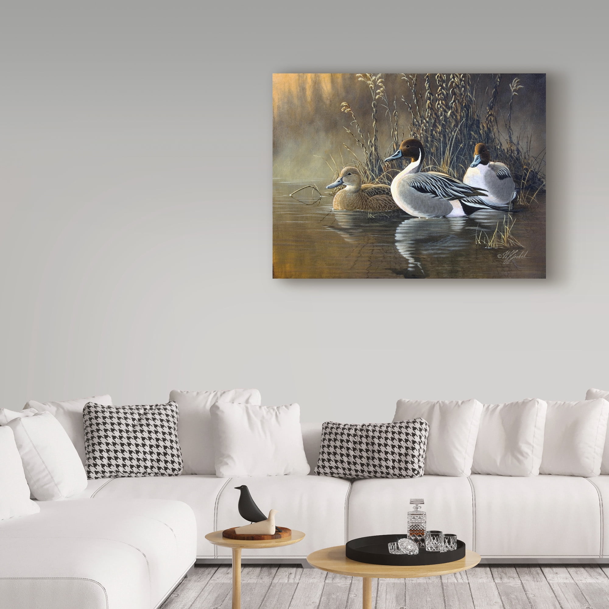 Trademark Fine Art 'Pintail Trios' Canvas Art by Wilhelm Goebel
