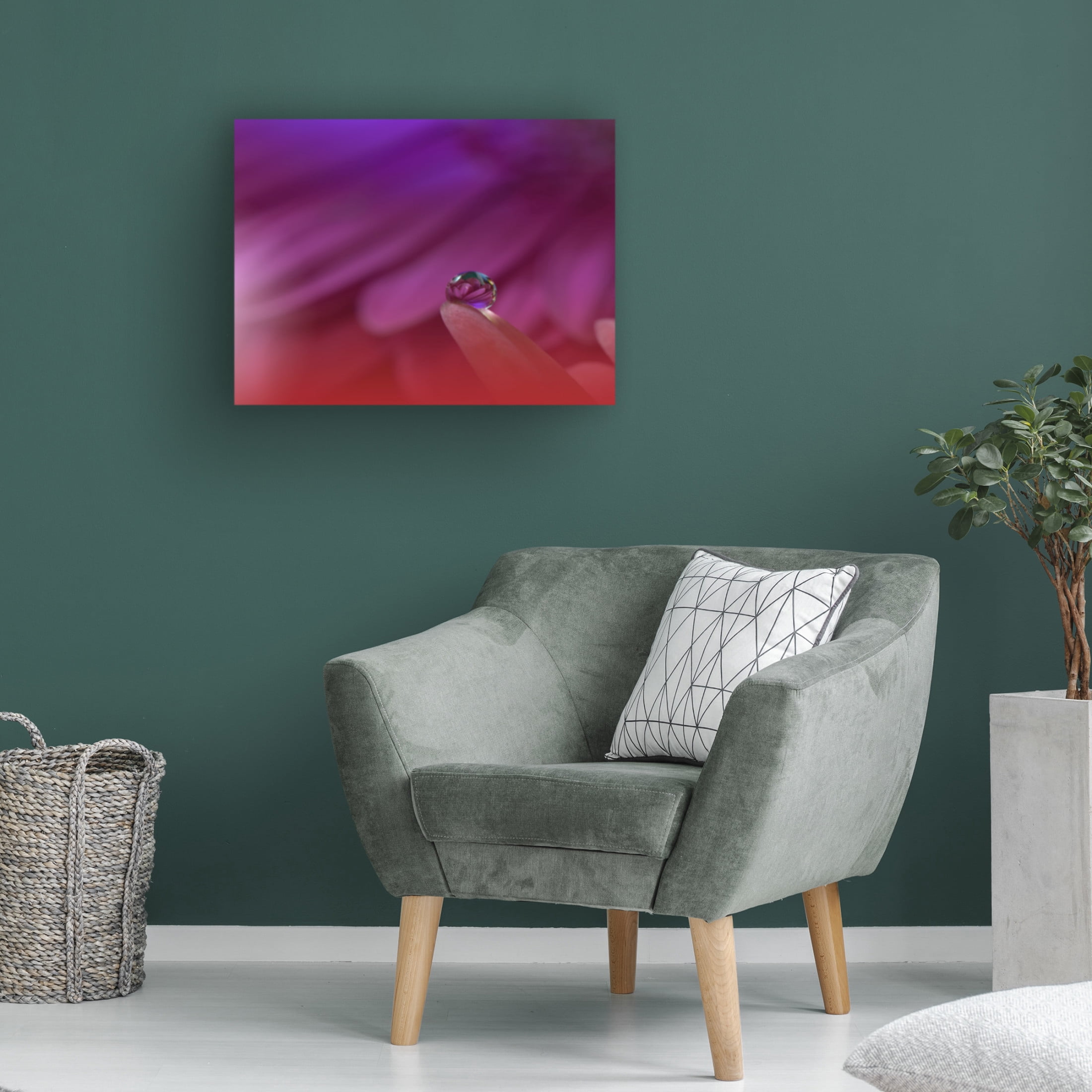 Trademark Fine Art Juliana Nan Prism Of Life.. Canvas Wall Art
