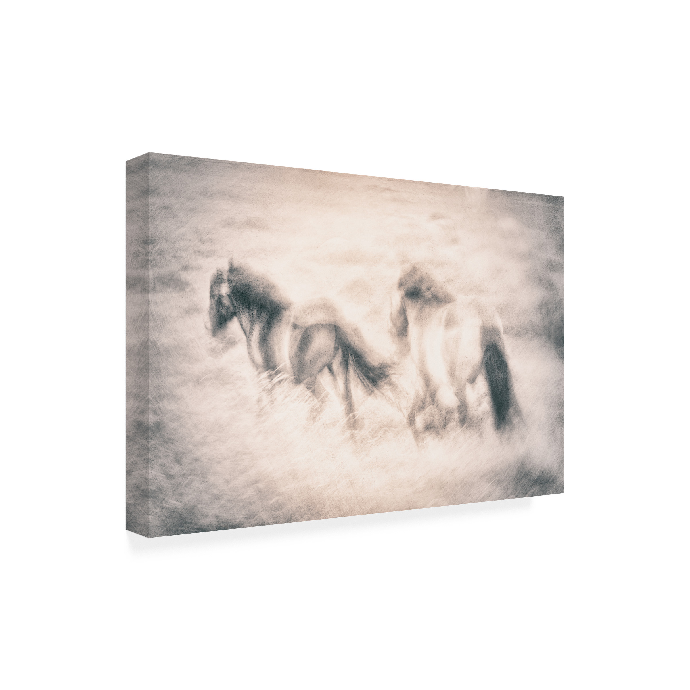 Canvas Wall Art - Nel Talen 'Running Free' Wall Art for Living Room, Bedroom, or Office DÃ©cor by Trademark Fine Art - 32 x 22 Inches