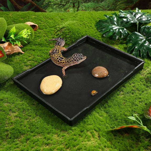 LULULION 1Pcs Lizard Water Bowl Black PE Feeding Dish Reptile Accessories