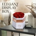 thumbnail image 5 of GLAMOUR BOUTIQUE Hexagon 7-Piece Forever Red Rose Box - Preserved Roses in a Box, Immortal Roses in a Box That Last A Year - Eternal Rose Preserved Flowers for Delivery Prime Mothers & Valentines Day, 5 of 9