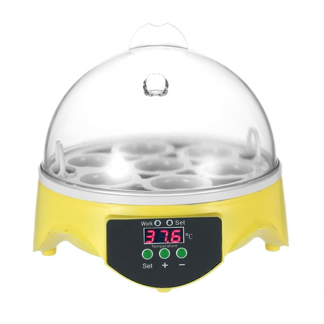 7 Eggs Mini Digital Egg Incubator Hatcher Transparent Eggs Hatching Machine Automatic Temperature Control for Chicken Duck Bird Eggs AC110V