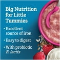 thumbnail image 2 of GERBER® Stage 3 Multigrain Yogurt Raspberry Baby Cereal 227 g, 2 of 9