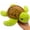 Green Turtle, variant on Green Sea Turtle Stuffed Animal Plush Toy 9 Inches | Soft Stuffy, Cute Ocean Plushies, Birthday Graduation Gifts, For Boys Kids