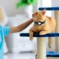 thumbnail image 2 of QHUDLV Safety Release Cat Kitten Collar Quick Release Reflective US Vis HOT Bell, 2 of 5