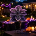 thumbnail image 5 of Artificial Purple Calathea Plant, Home Party Decoration, Purple Leaf Decor Artificial Plant Simulation Pot Bonsai Flower Ornament Hotel Room Desk Decorate((No Flowerpot),23.6"), A, 5 of 7