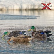 Avian X Topflight Early Season Mallard Duck Realistic Decoy, 18 Pack