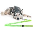 thumbnail image 1 of FYBTO LED FYBTO - USB Rechargeable - Light Up FYBTO - 4ft/120cm Neon Green FYBTO - LED Strip - 4ft - Makes Your Dog Visible, Safe & Seen - FYBTO es, 1 of 7