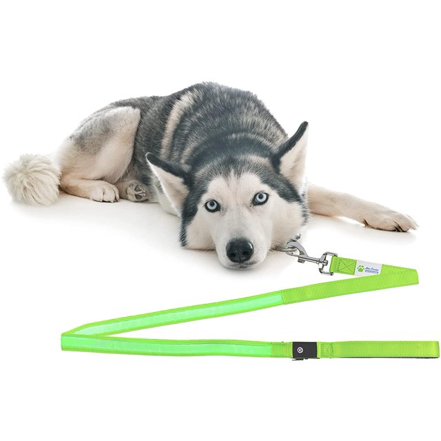 FYBTO LED FYBTO - USB Rechargeable - Light Up FYBTO - 4ft/120cm Neon Green FYBTO - LED Strip - 4ft - Makes Your Dog Visible, Safe & Seen - FYBTO es