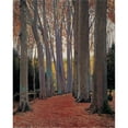 thumbnail image 2 of Santiago Rusiñol 20x24 Gold Ornate Framed and Double Matted Museum Art Print Titled - Avenue of Plane Trees, 2 of 4