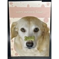 thumbnail image 4 of Happy Birthday Friend (Paws & Claws Dog) Greeting Card w/Envelope, 4 of 4