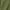 Military Green, variant on China Patriotic Shirt American Chinese Shirt America China Shirt Chinese Gifts USA China Shirt