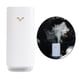 thumbnail image 1 of Humidificador de aire portátil para centro commerce business, purificador, configuración de tiempo, apagado automático, de 800mAh diapositivas p blanco perfecl Humidificador de aire, 1 of 8