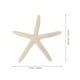 thumbnail image 2 of 8 piezas de estrellas de mar naturales con temática de playa, adornos de micropaisaje, 2 of 7