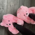 thumbnail image 5 of JM Zapatillas de oso de peluche para mujer, hogar, interior, suaves, antideslizantes, lindos zapatos de invierno cálidos, zapatillas de dibujos animados JM, 5 of 5