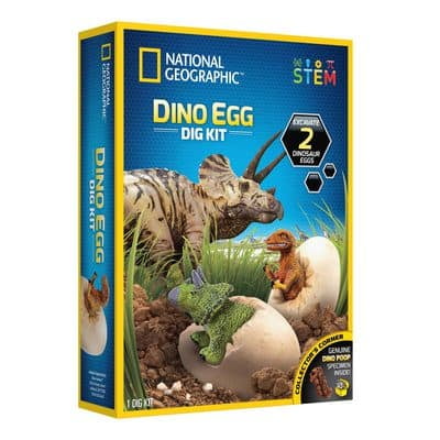 12 Pack: National Geographic Dino Egg Dig Kit