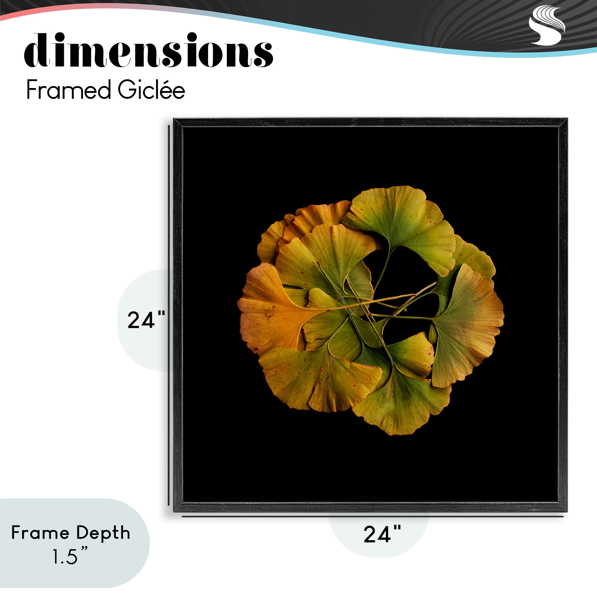 Stupell Industries Overlapping Ginkgo Leaves Black Framed Giclee Art, design by Beth Adoette