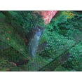 thumbnail image 4 of Ambesonne Tree Quilted Bedspread Set 3 Pcs, Red Leaf Maple in Garden, Queen Size, Green, 4 of 5