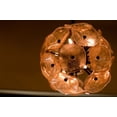 thumbnail image 4 of ET2 Lighting - Fiori-12 Light Pendant in Leaf style-20 Inches wide by 20 inches, 4 of 7