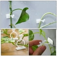 thumbnail image 3 of FRCOLOR 100 Pcs Vine Clips for Climbing Plants Outdoor Holder, 3 of 8