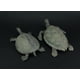 thumbnail image 3 of Universal Lighting and Decor Hawksbill y Soft Shell Sea Turtle Juego de estatuas de 2 piezas Universal Lighting and Decor CVGBP521, 3 of 3