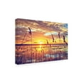 thumbnail image 2 of Beata Czyzowska Young 'Afternoon Glow' Canvas Art, 2 of 3