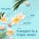 thumbnail image 4 of Ambientador en spray Febreze Bora Bora Waters, paquete de 6, 4 of 9