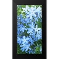 thumbnail image 2 of Burkhart, Monika 14x24 Black Modern Framed Museum Art Print Titled - Variations in Blue I, 2 of 5