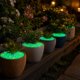 thumbnail image 5 of Colorful Luminous Garden Luminous Outdoor Decoration Luminous Fish Tank Aquarium Decoration, 5 of 6
