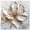 Frameless, variant on Ivory White I Framed High-Gloss Acrylic Glass Wall Art Elegant Floral Art by Art Remedy, Black Frame, 24 x 24