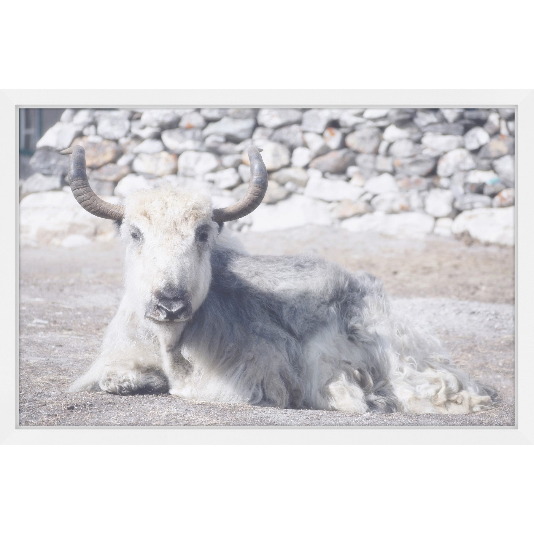 Marmont Hill "Laying Still" Framed Painting Print