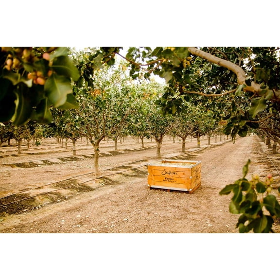 Setton Farms Hot Honey, No Shell Pistachios, 10 Oz Bag