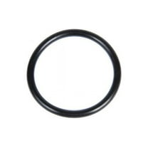 GM Genuine Parts Dipstick Tube Seal